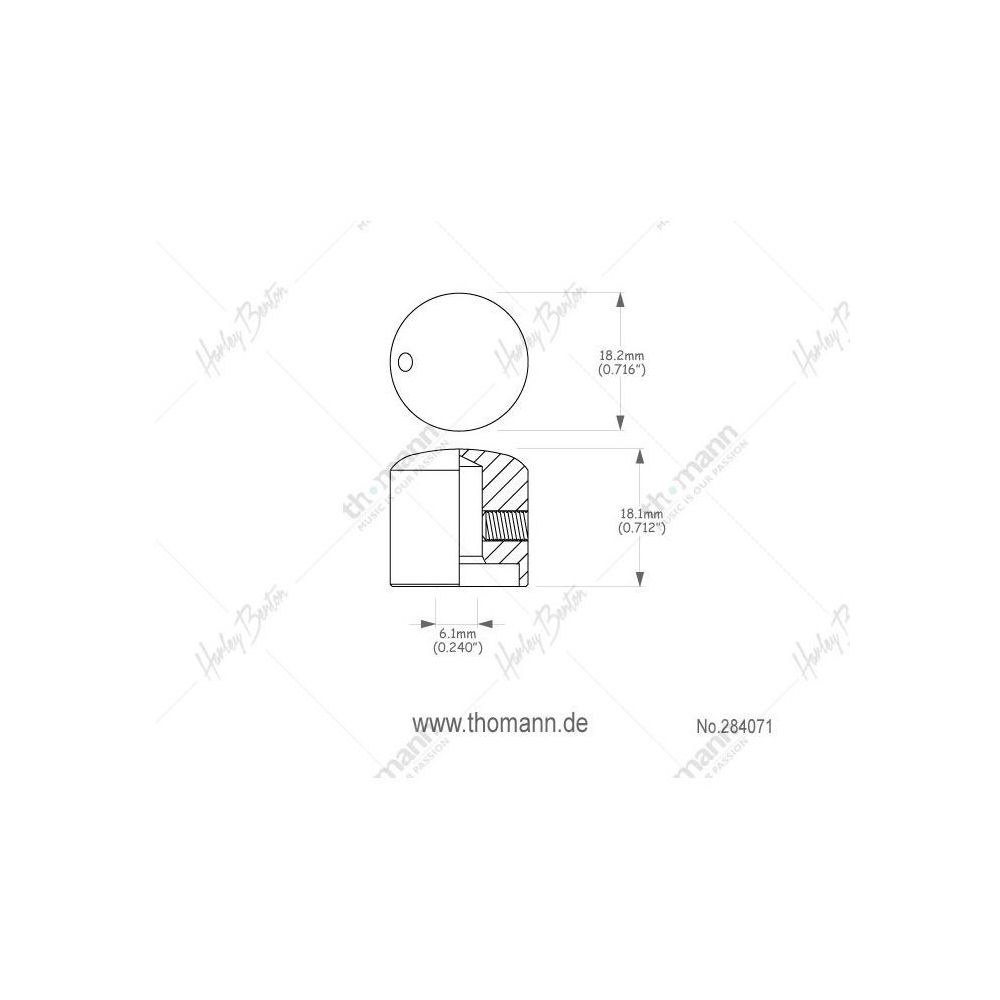 Harley Benton Parts T