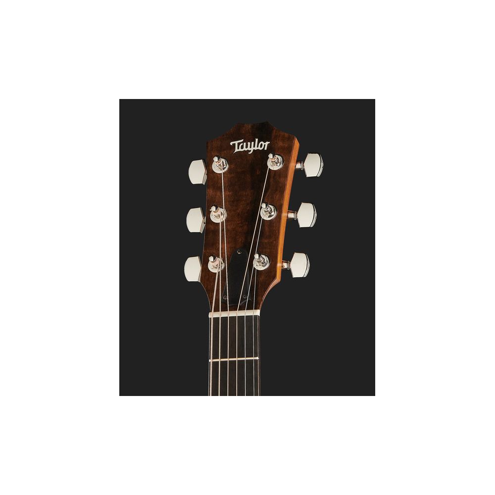 Taylor 210ce Plus – Thomann Ireland