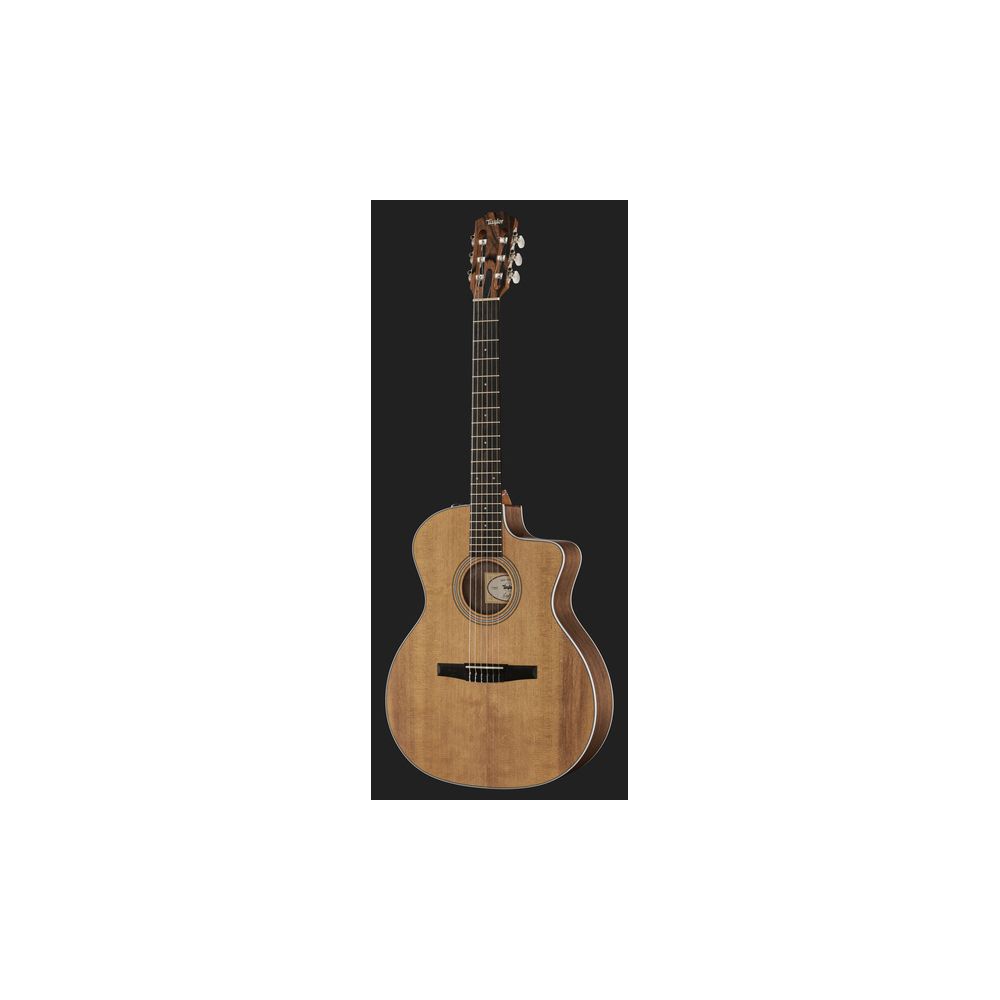 Taylor 214ce