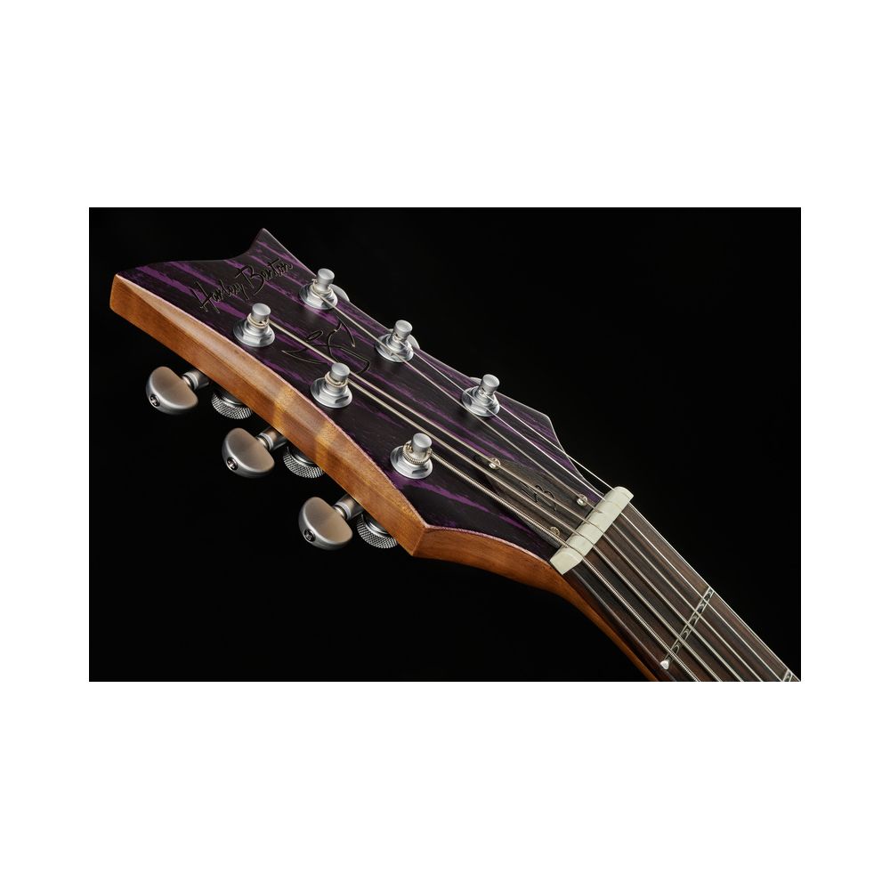 Harley Benton Agufish Custom Signature BT PB – Thomann Ireland