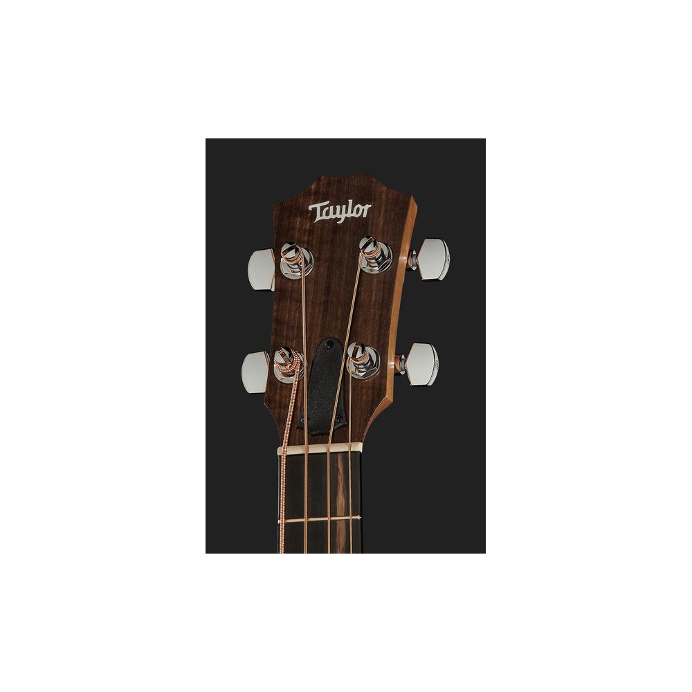 Taylor GS Mini