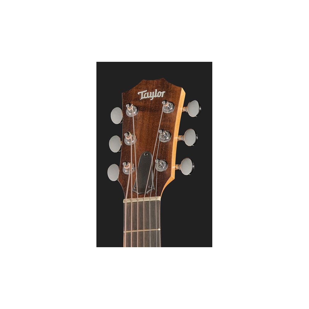 Taylor GS Mini