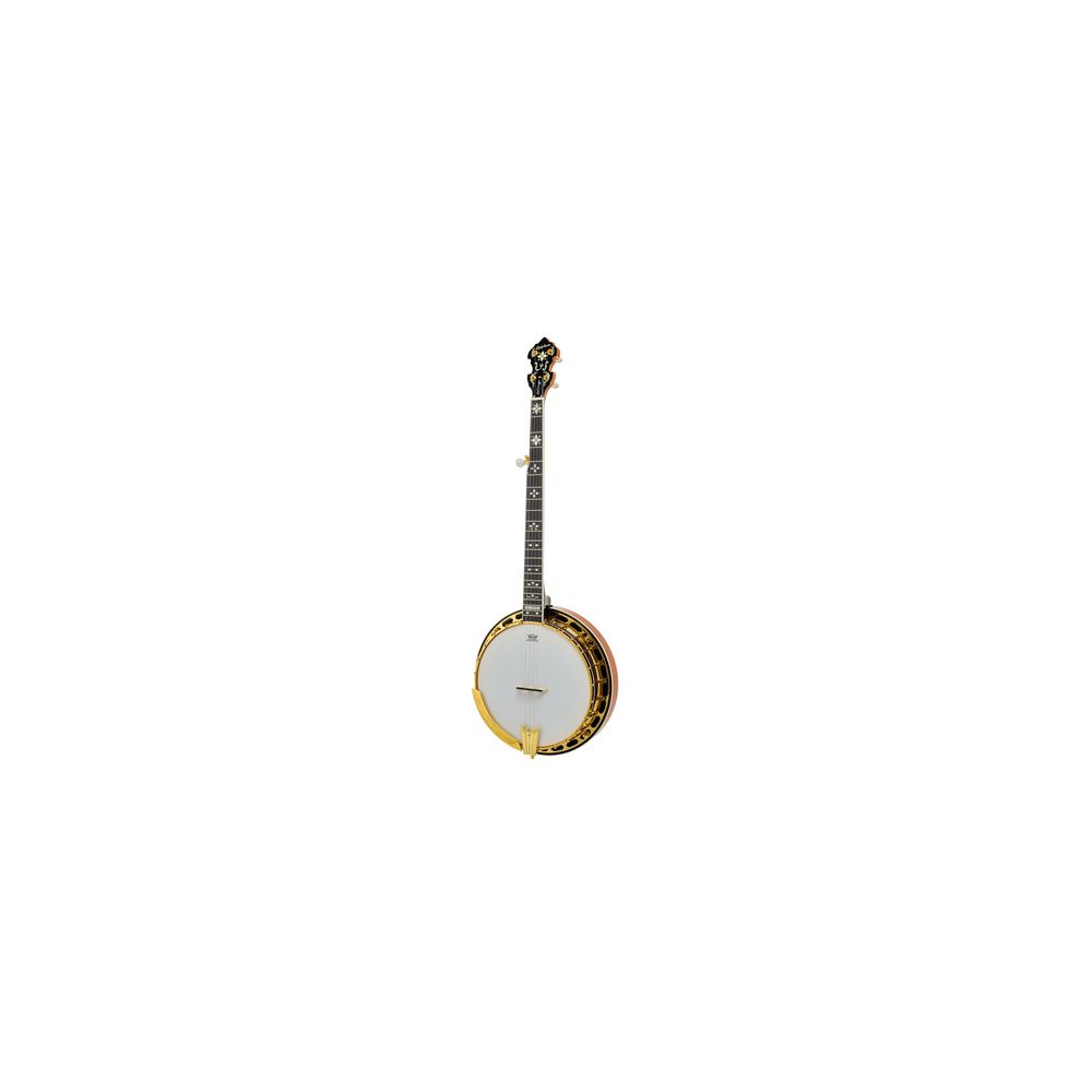 Epiphone Earl Scruggs Golden De B