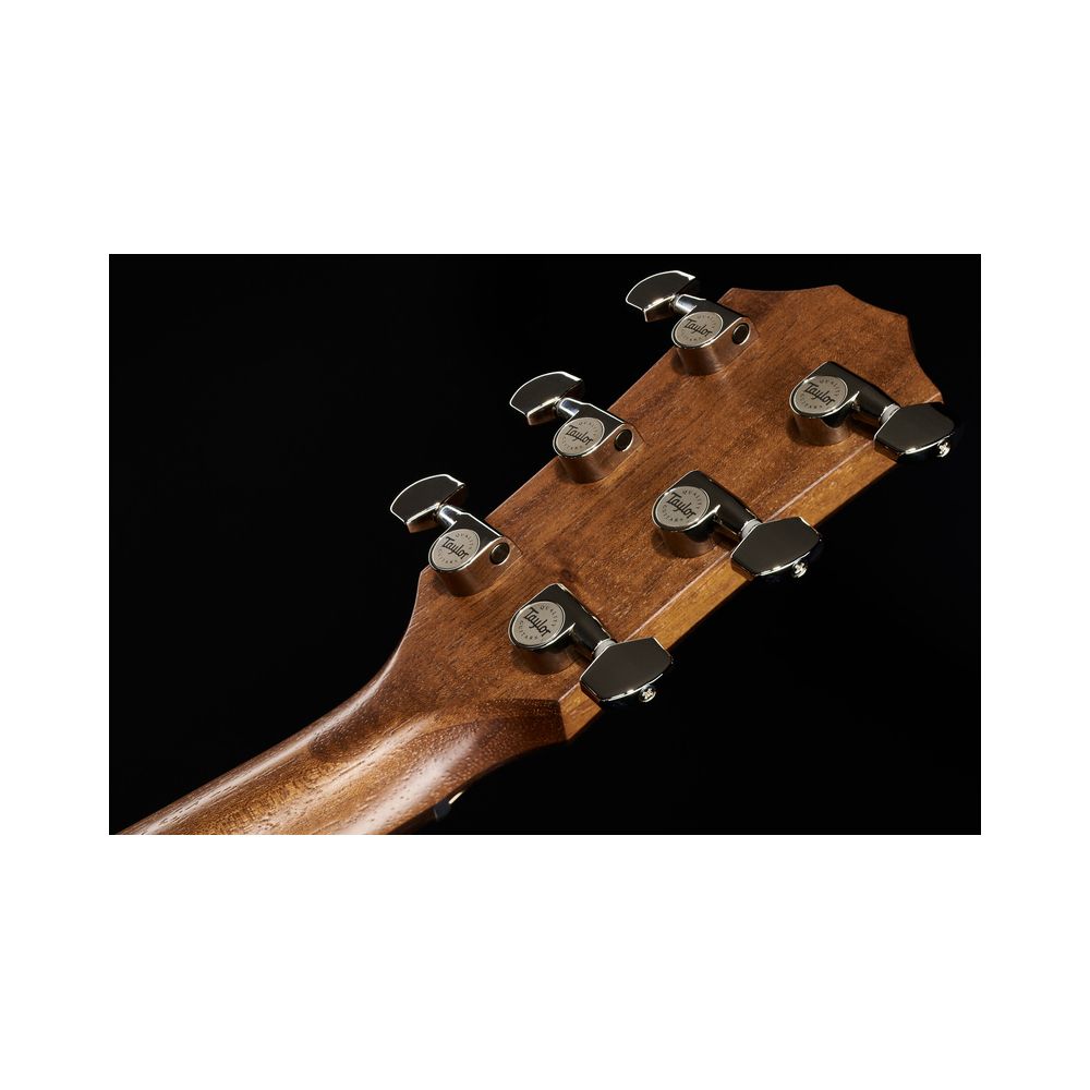 Taylor American Dream AD22e SEB – Thomann Ireland