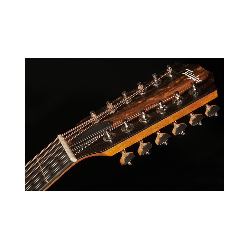 Taylor 254ce Plus – Thomann Ireland