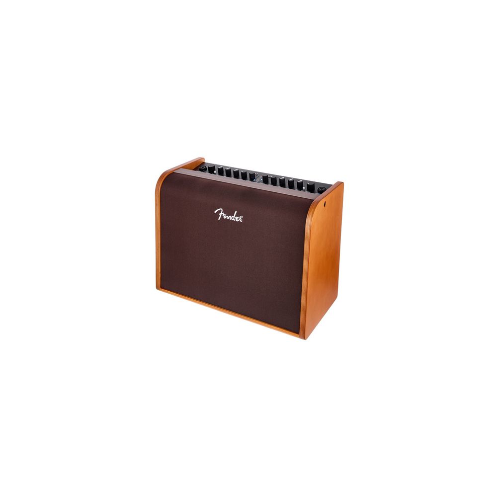 Fender ACOUSTIC 100 B