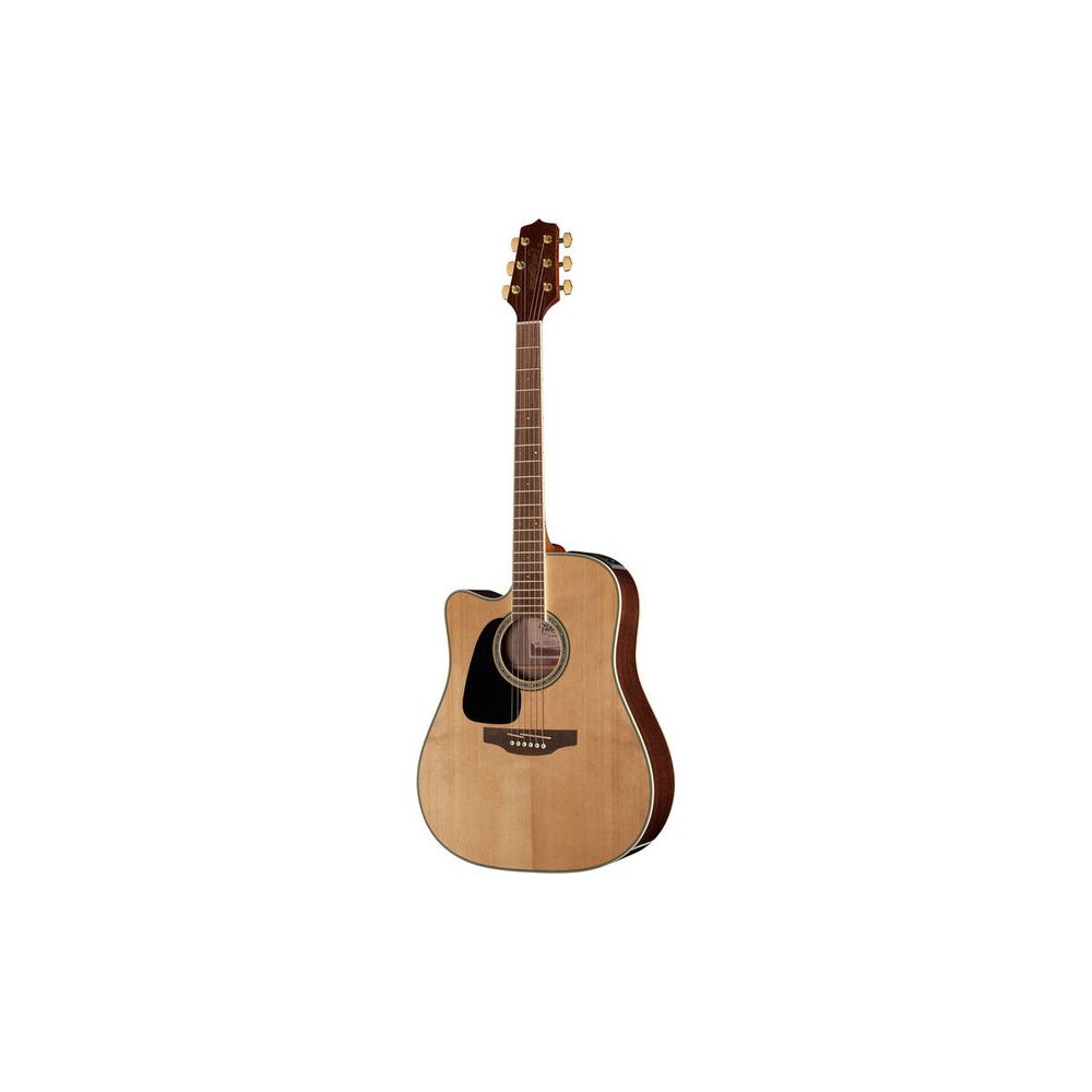 Takamine GD51CE