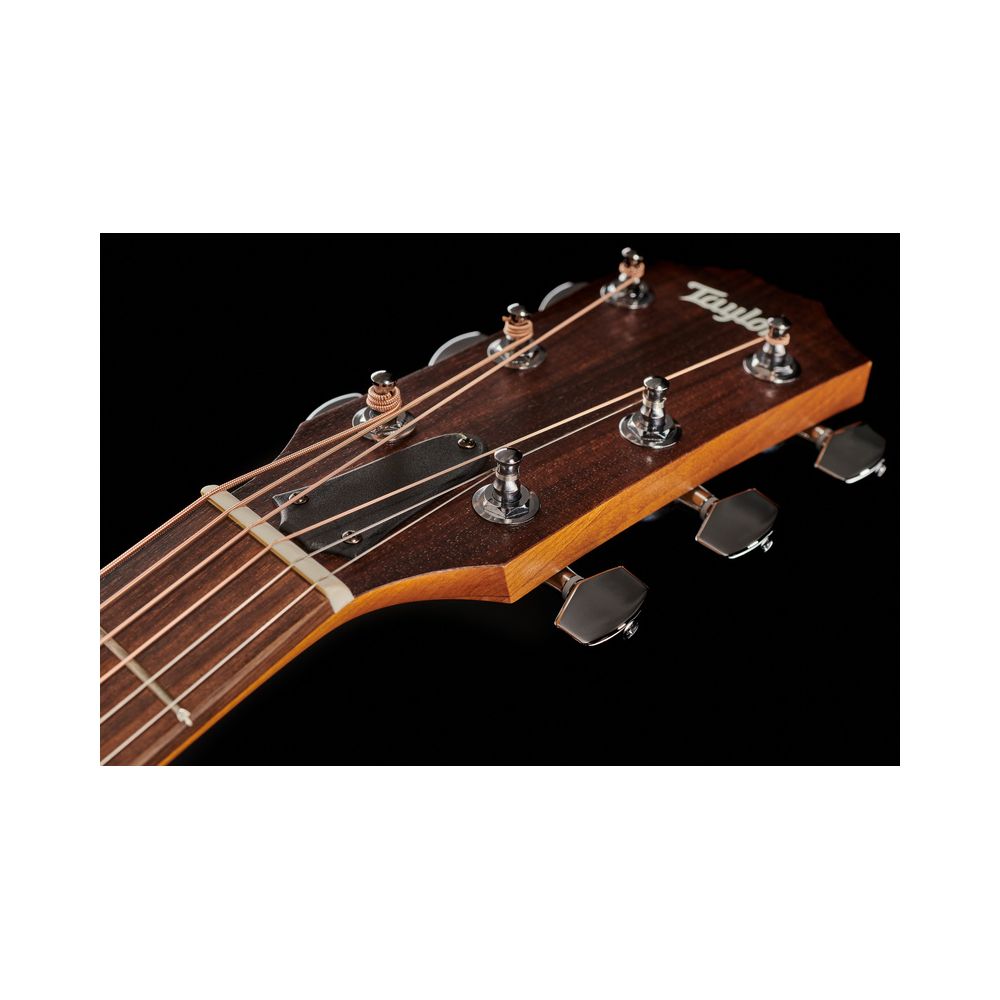 Taylor Academy Series 10e Walnut/Spru – Thomann Ireland