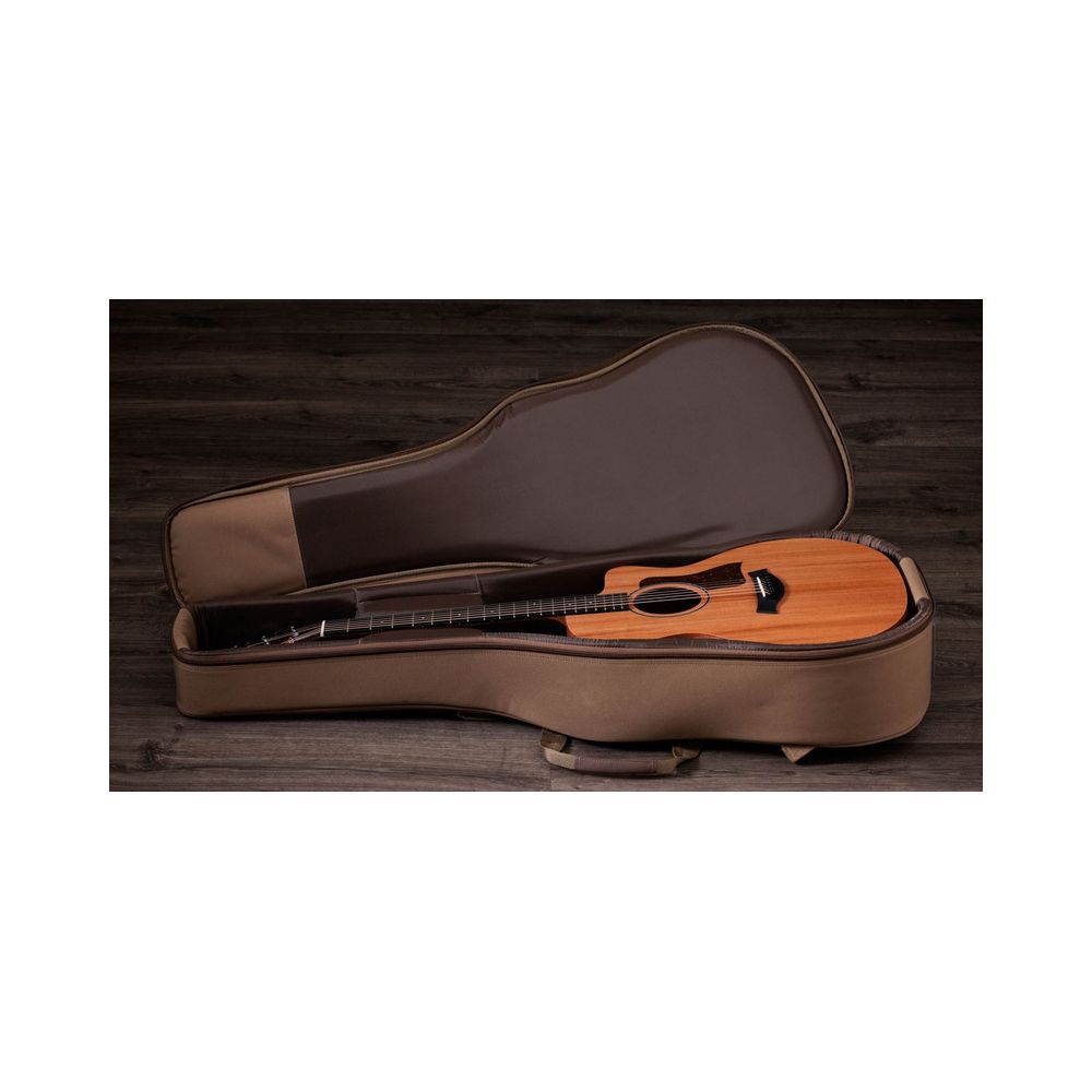 Taylor 24ce – Thomann Ireland