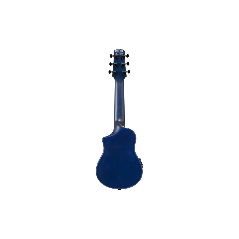 Ibanez AUP10FMNE