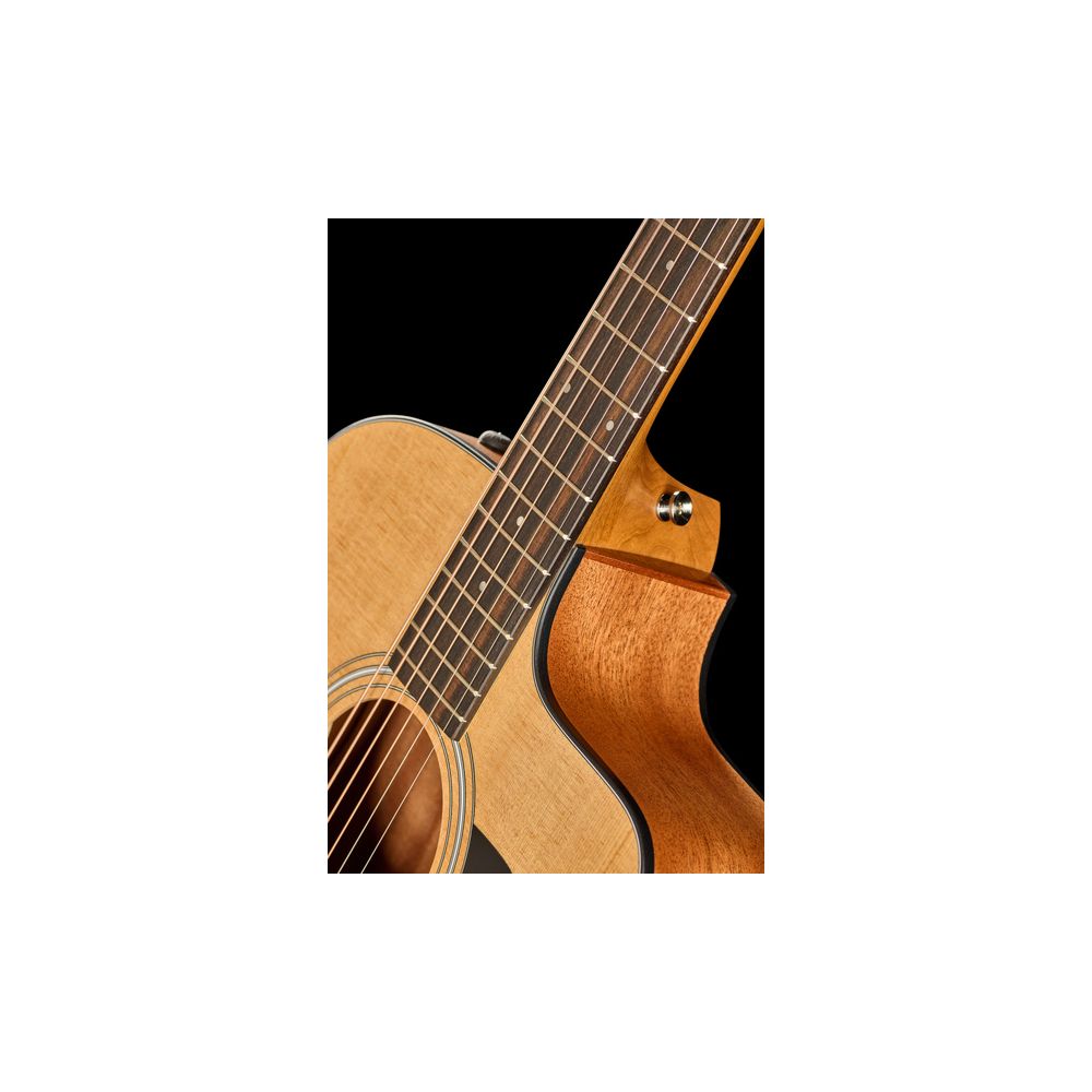 Taylor 110ce Sapele – Thomann Ireland