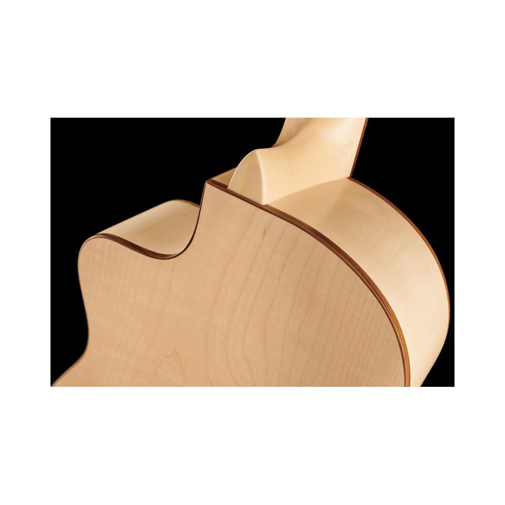 Gewa Pro Natura Silver Samba – Thomann Ireland