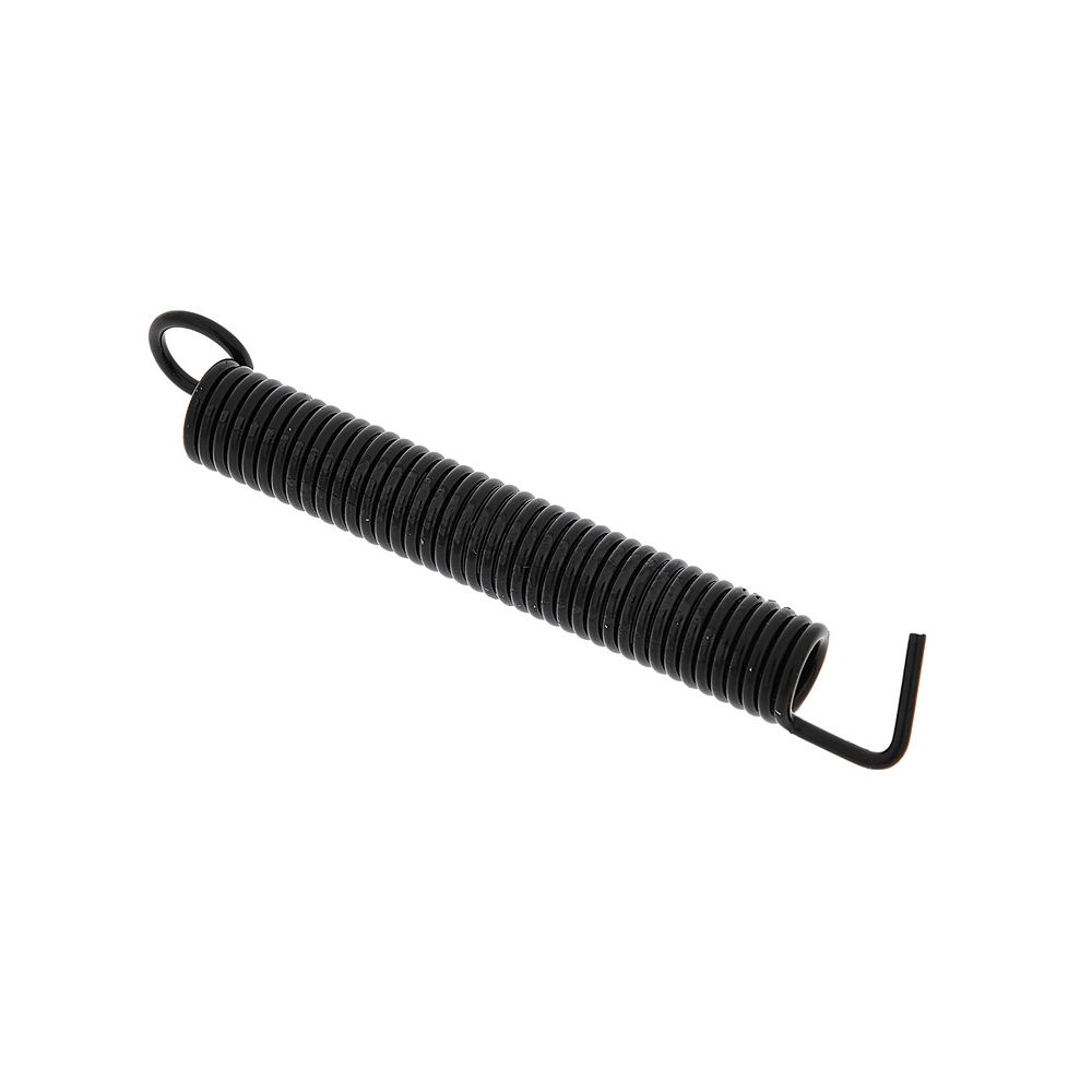 Floyd Rose Noiseless Tremolo Springs BK – Thomann Ireland