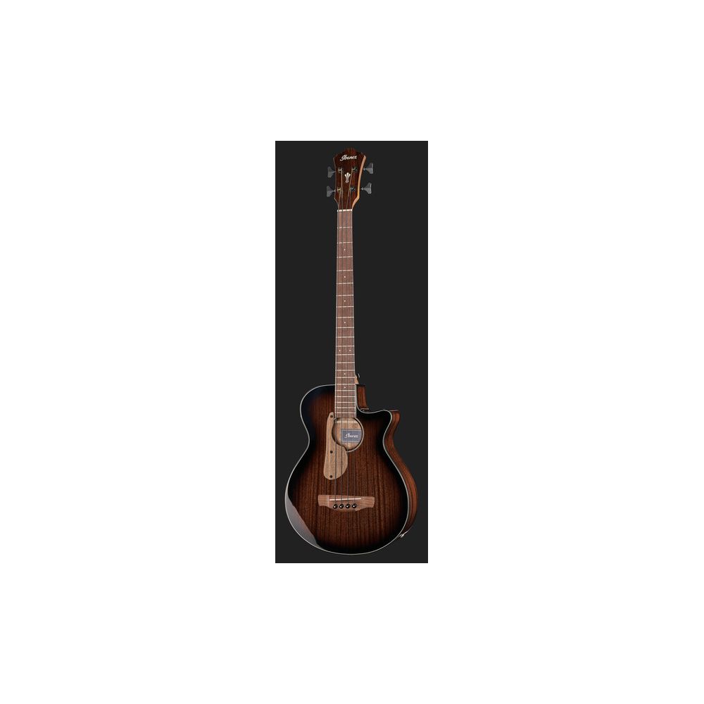 Ibanez AEGB24E