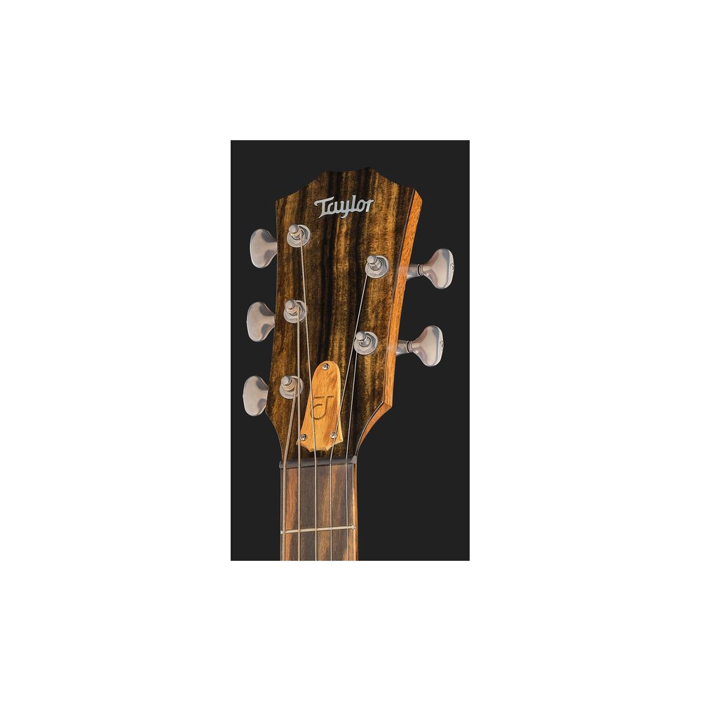 Taylor Jacob Collier Sign. JCSM