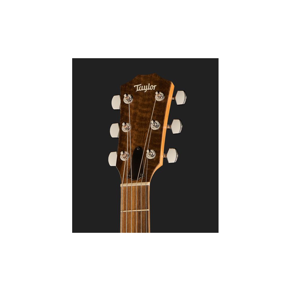 Taylor 114ce Sapele – Thomann Ireland