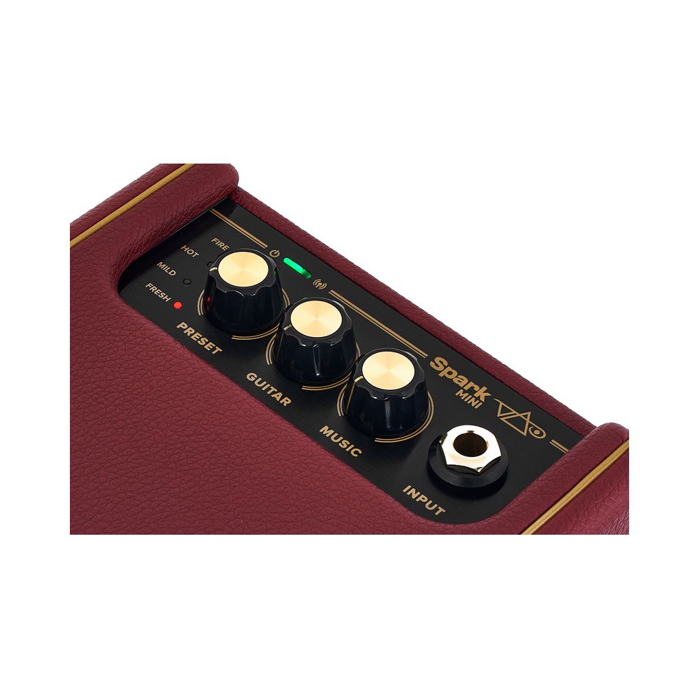 Positive Grid Spark Mini VAI – Thomann Ireland