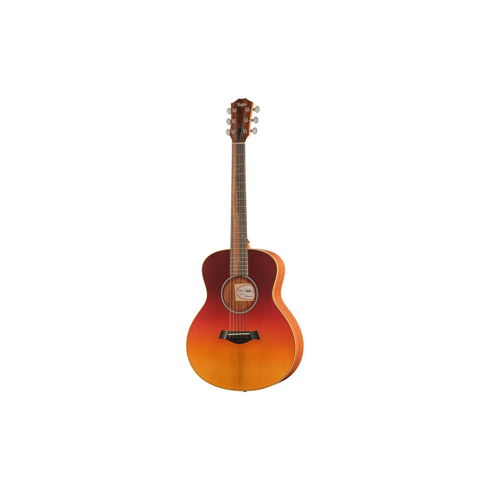 Taylor GS Mini