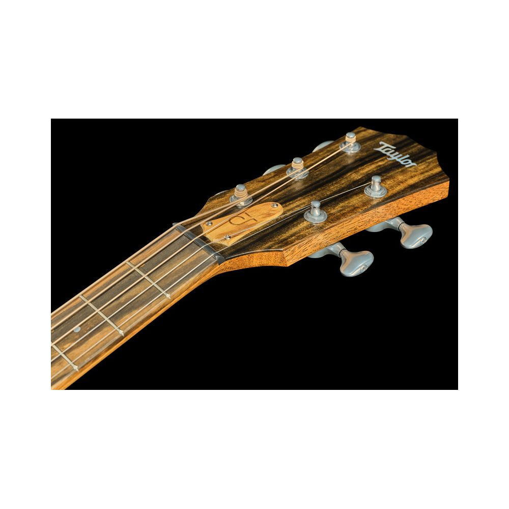 Taylor Jacob Collier Sign. JCSM