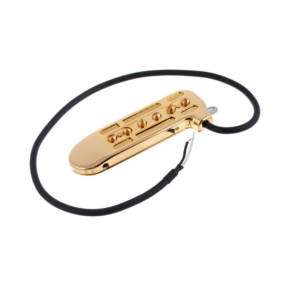 DeArmond Rhythm Chief 1100 – Thomann Ireland