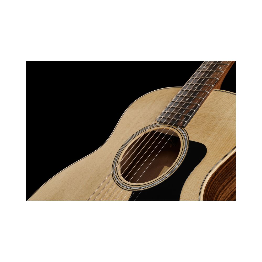 Taylor GS Mini