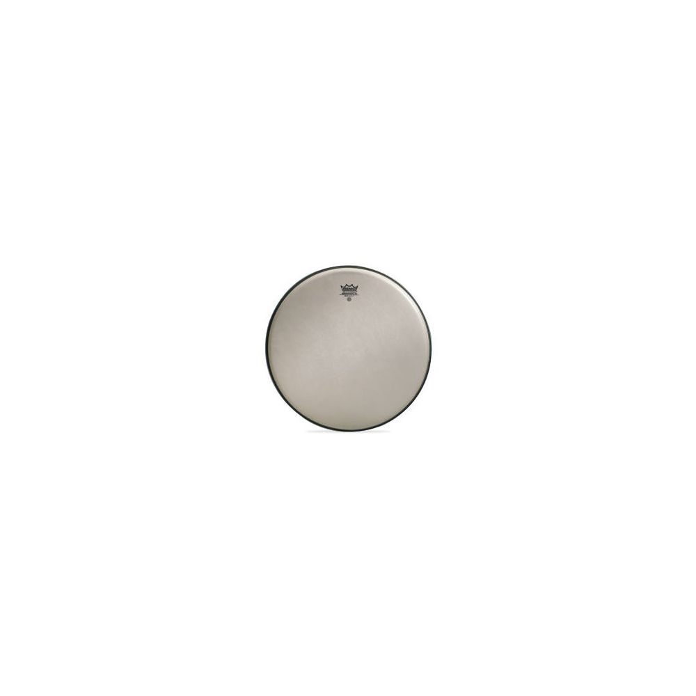Remo 14" Renaissance Ambassador – Thomann Ireland
