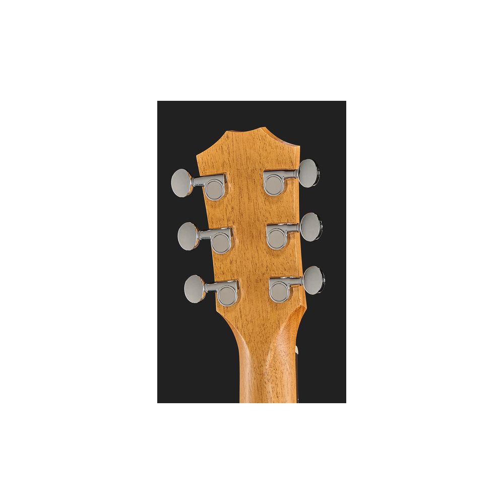 Taylor GS Mini