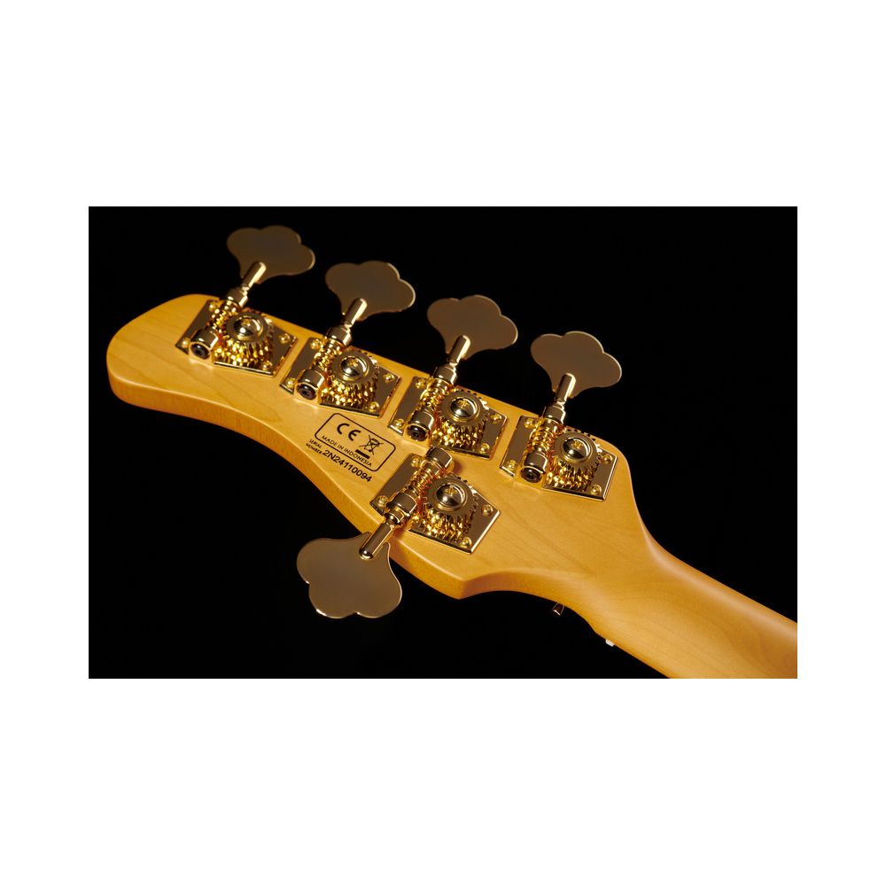Marcus Miller V10