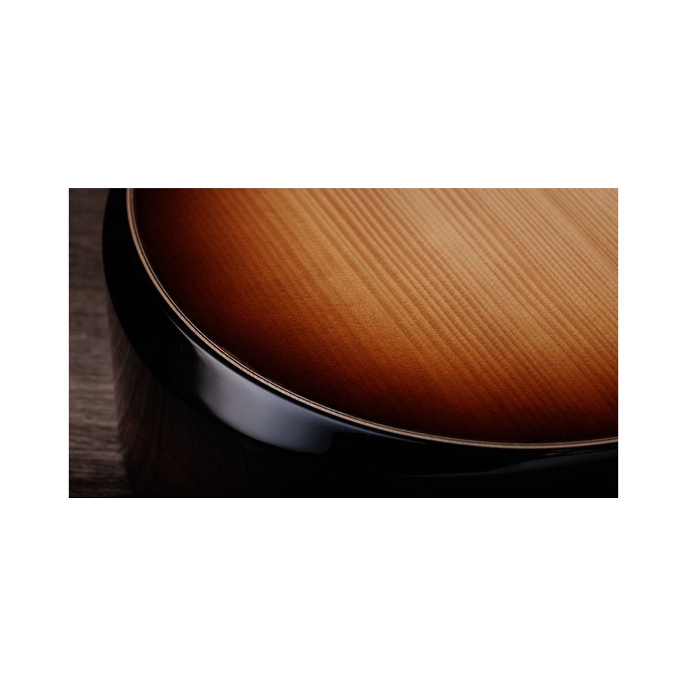 Taylor Builder´s Ed. 814ce Adirondack – Thomann Ireland