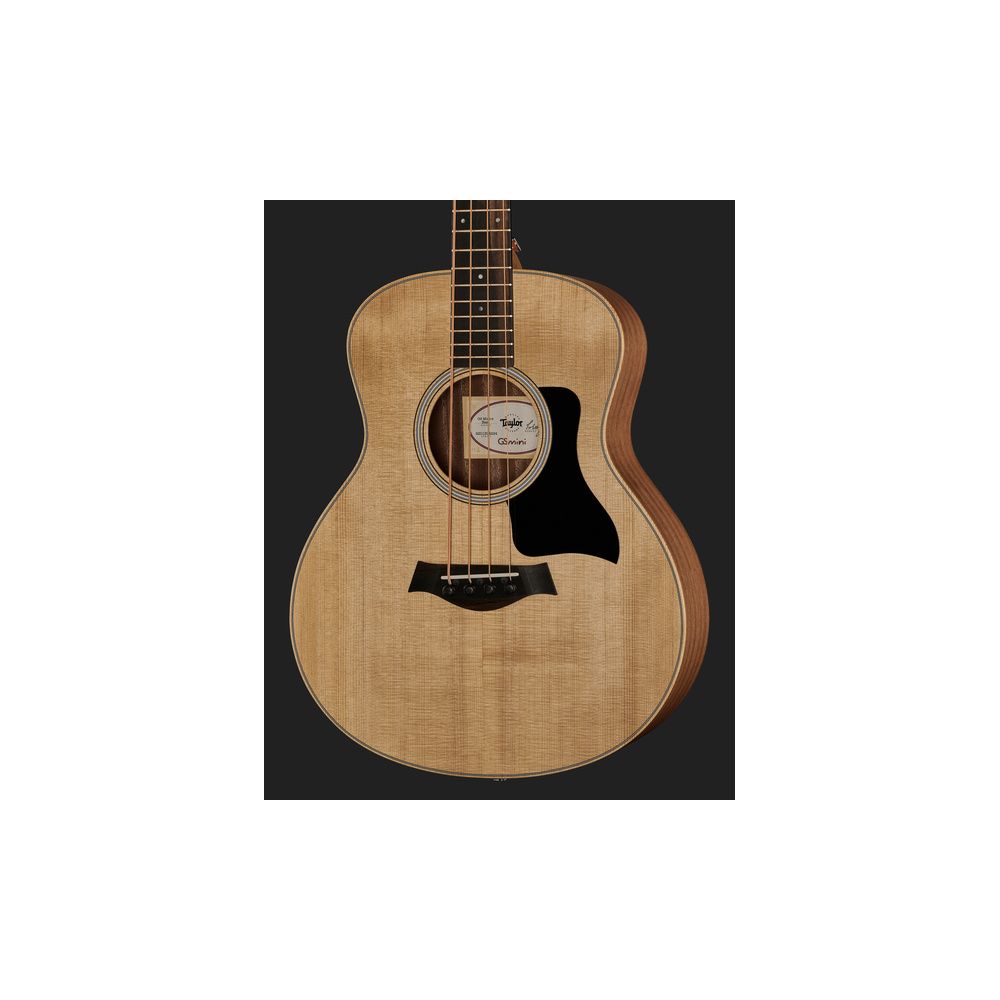 Taylor GS Mini