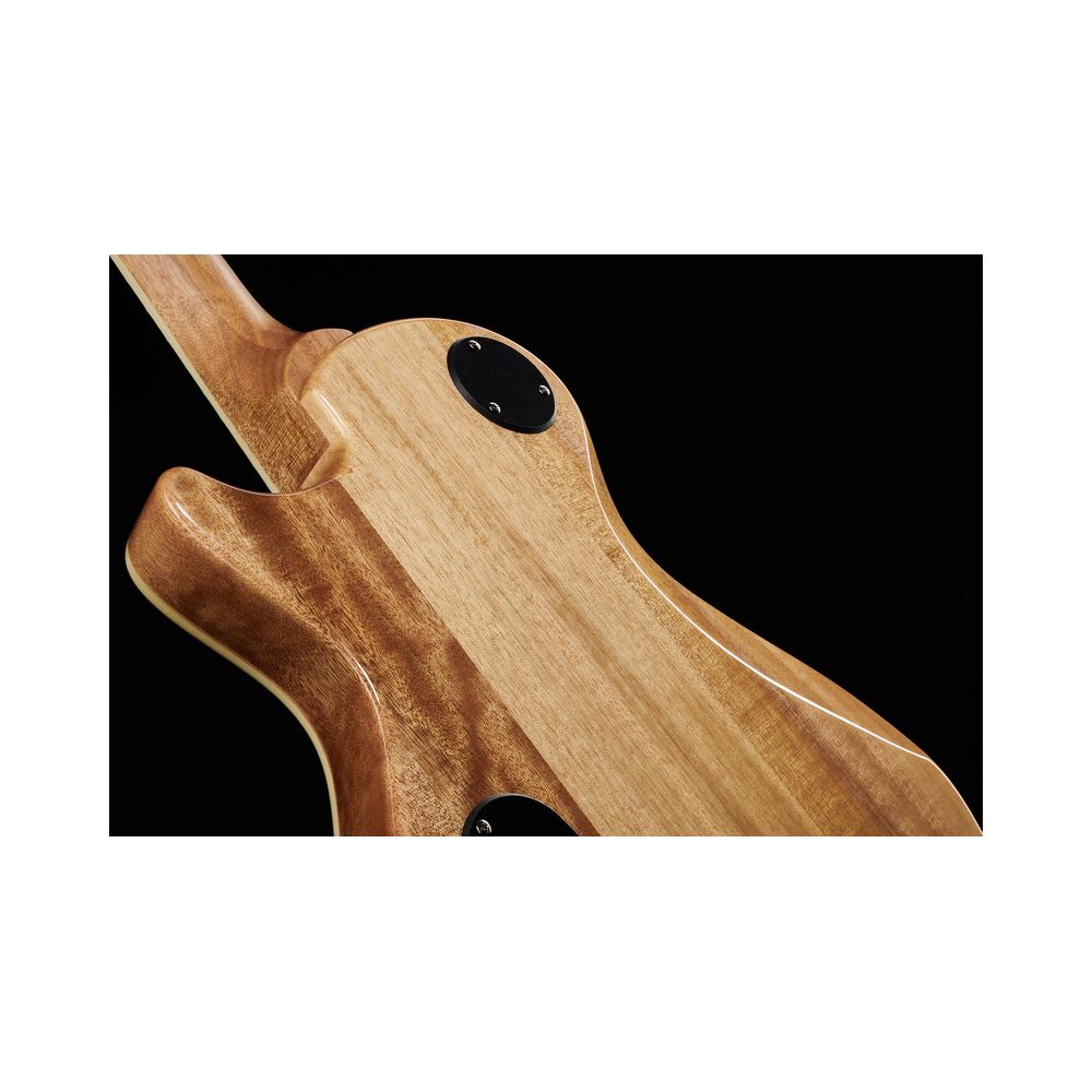 PRS SE Zach Myers MB – Thomann Ireland