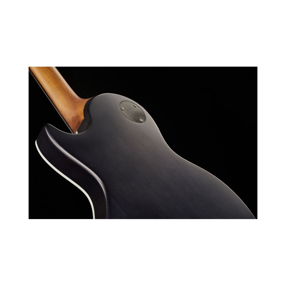 Harley Benton Agufish Custom Signature BT PB – Thomann Ireland