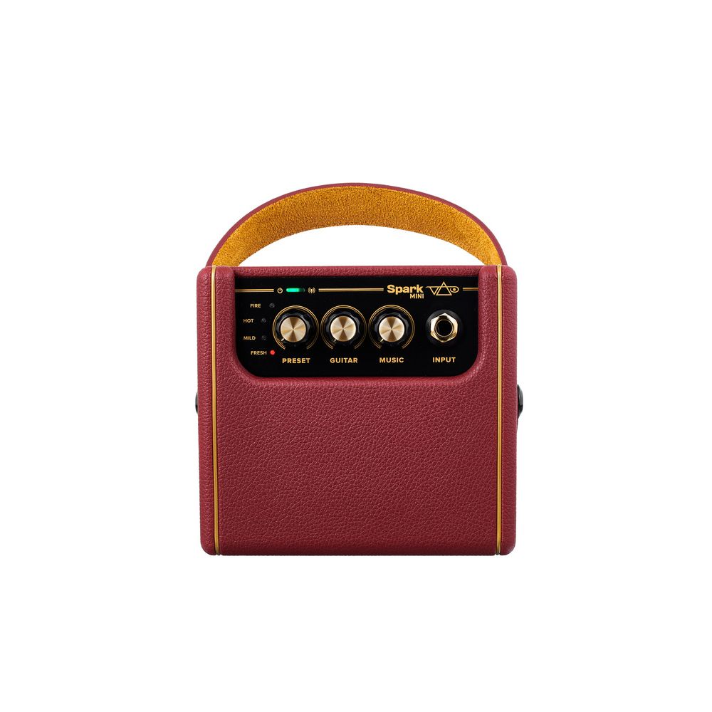 Positive Grid Spark Mini VAI – Thomann Ireland