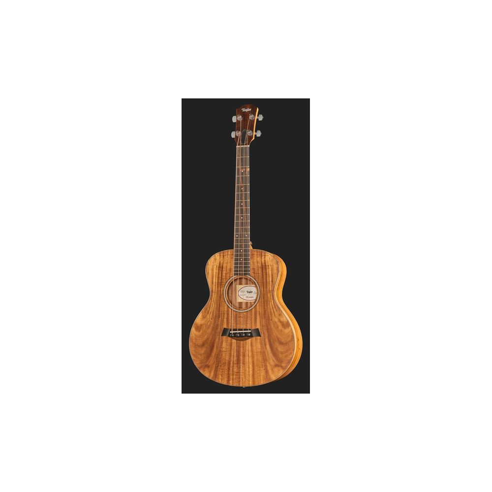 Taylor GS Mini