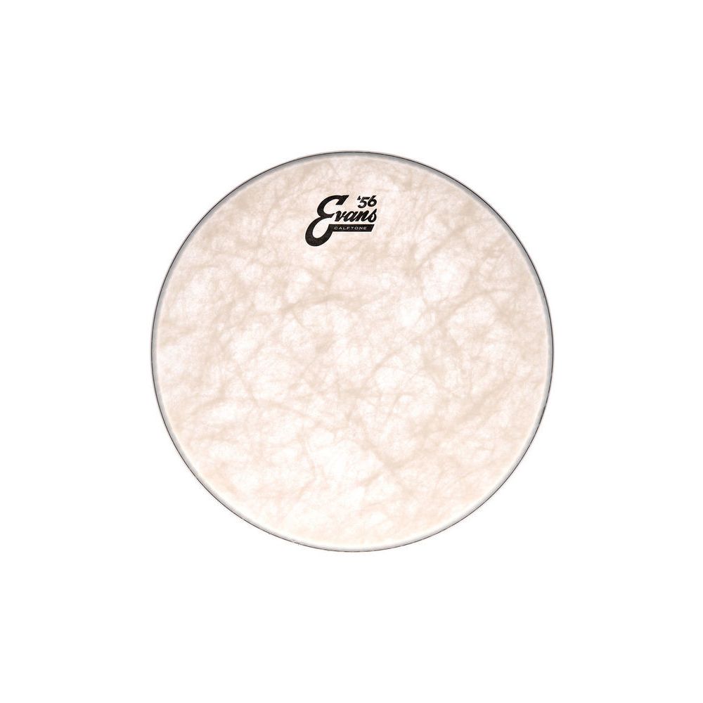 Evans 13" Calftone Tom – Thomann Ireland