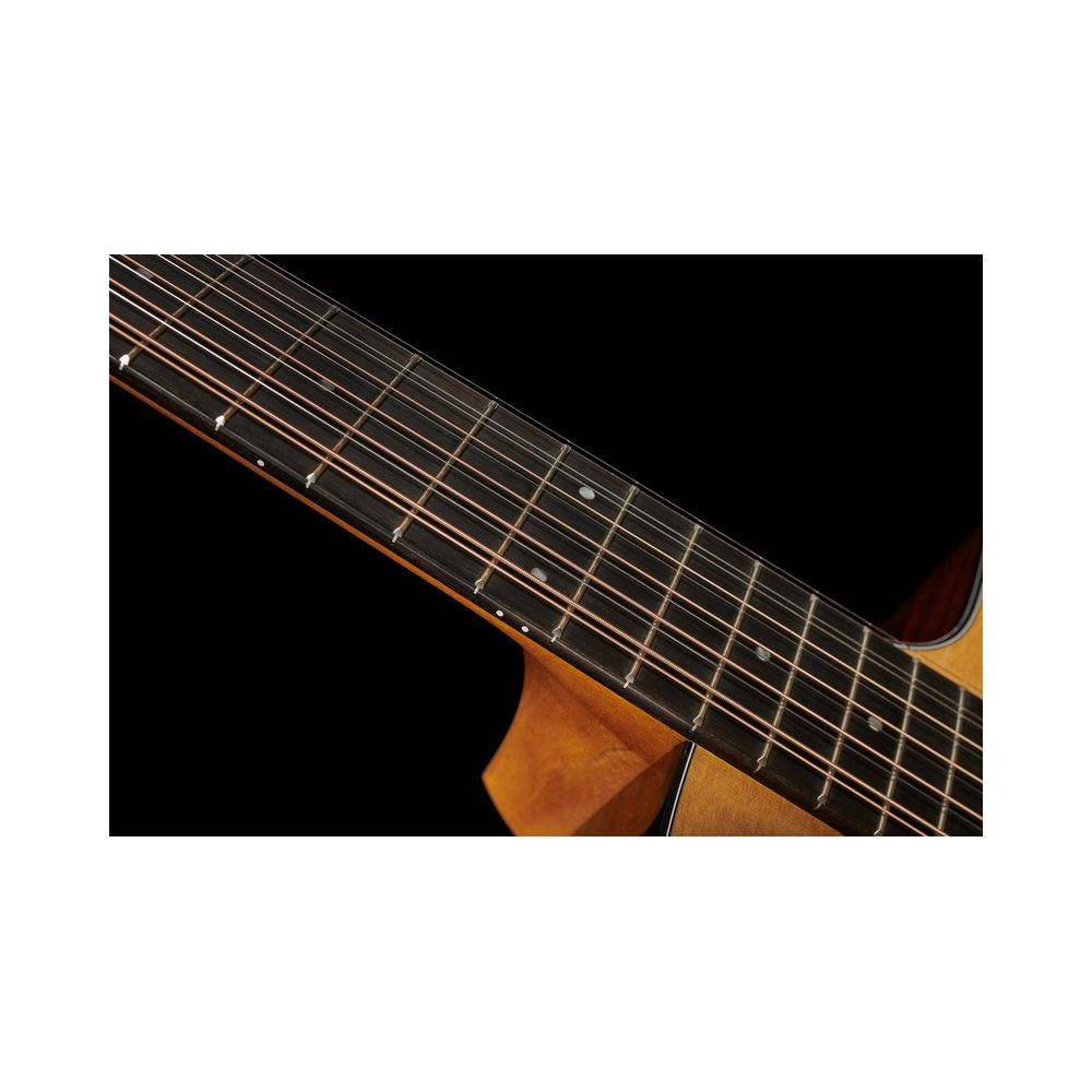 Taylor 254ce Plus – Thomann Ireland