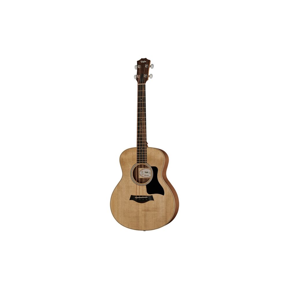 Taylor GS Mini