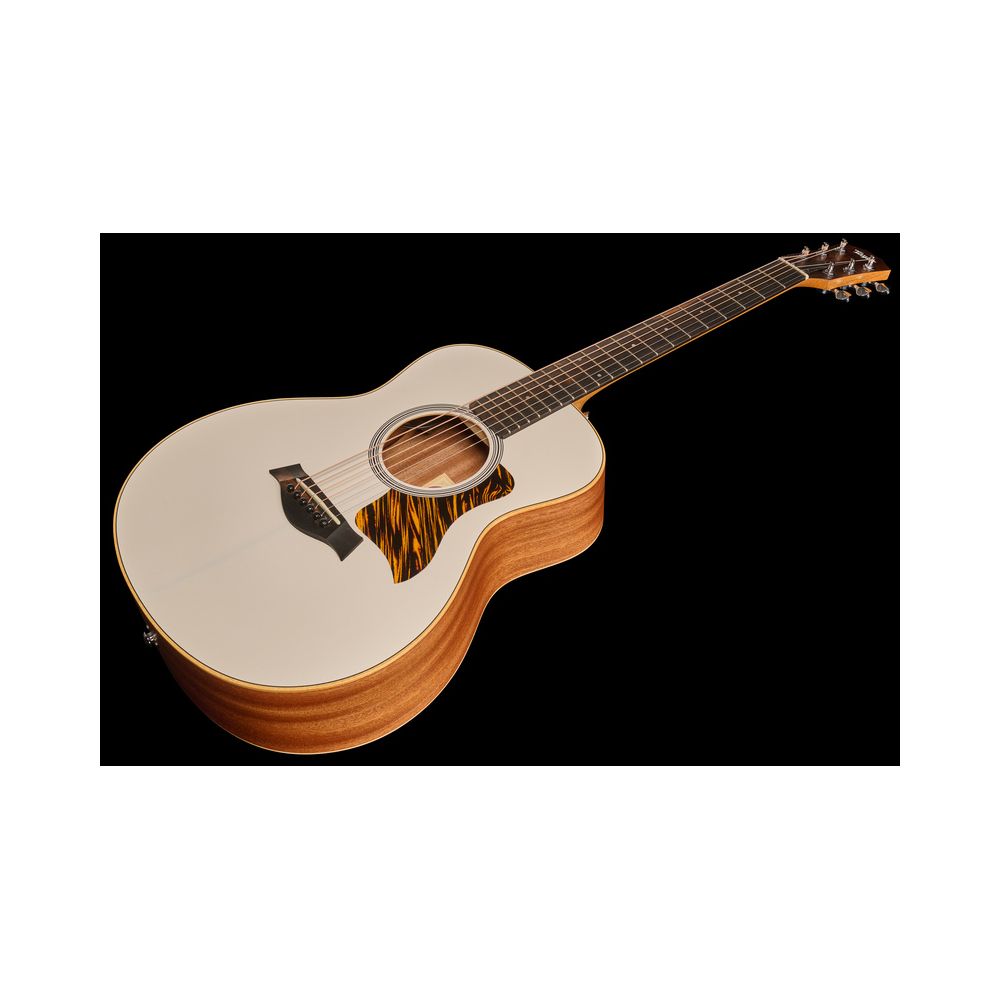 Taylor GS Mini