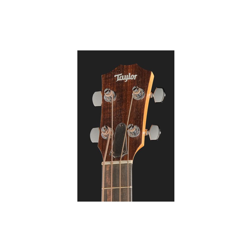 Taylor GS Mini