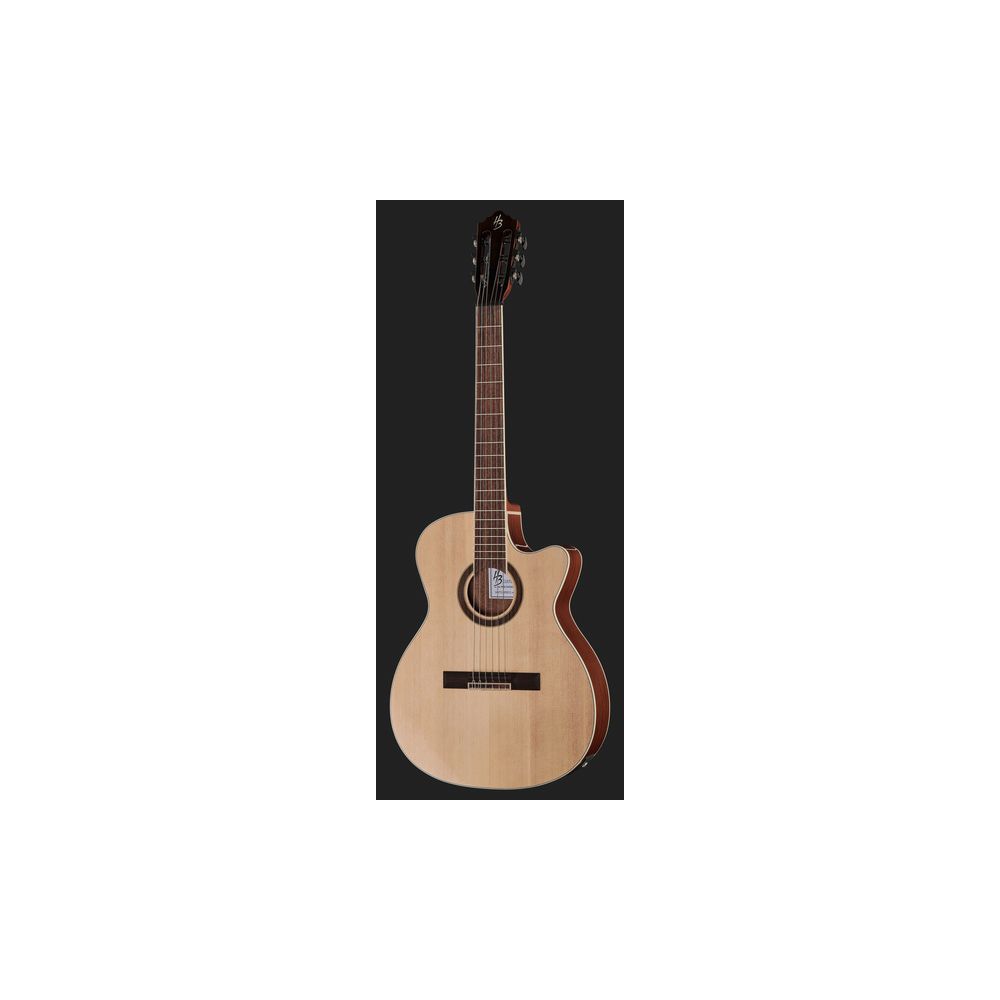 Harley Benton Santos Series C
