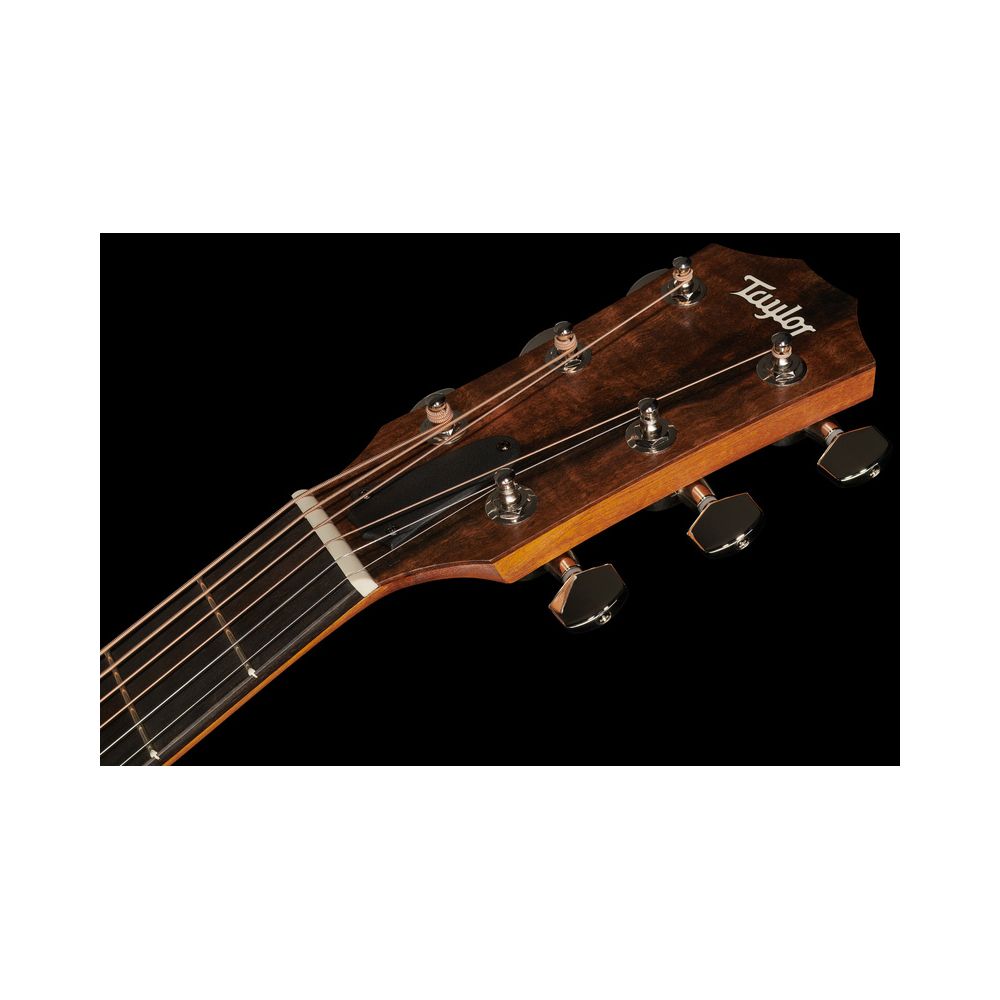 Taylor 210ce Plus – Thomann Ireland