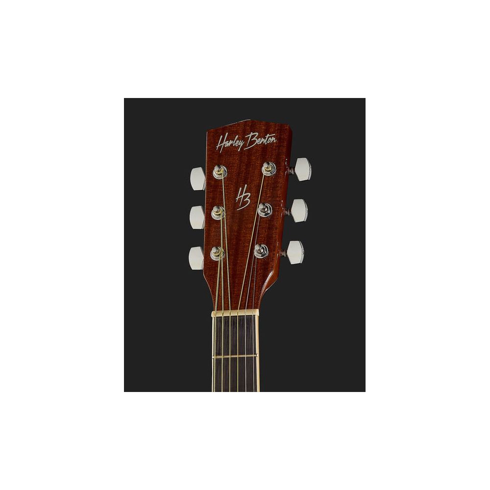 Harley Benton D