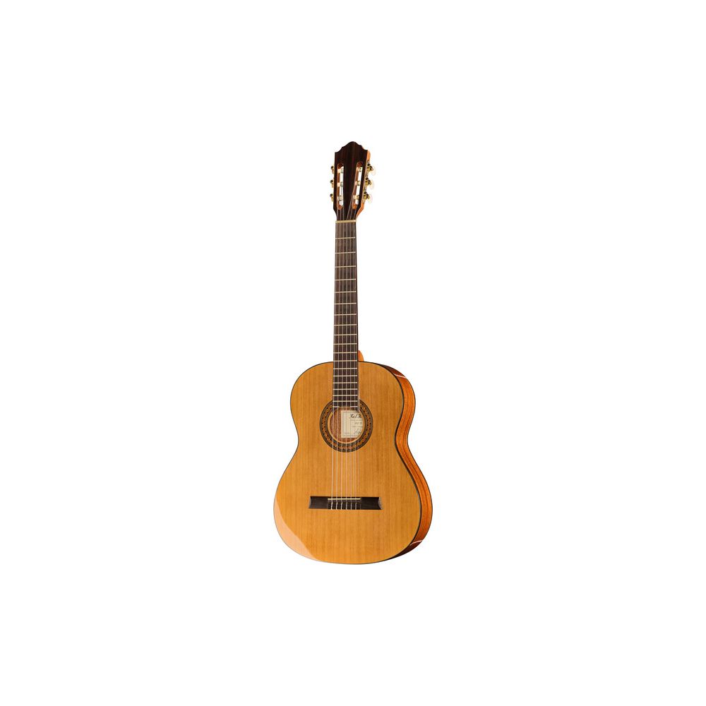 Höfner HZ25 – Thomann Ireland
