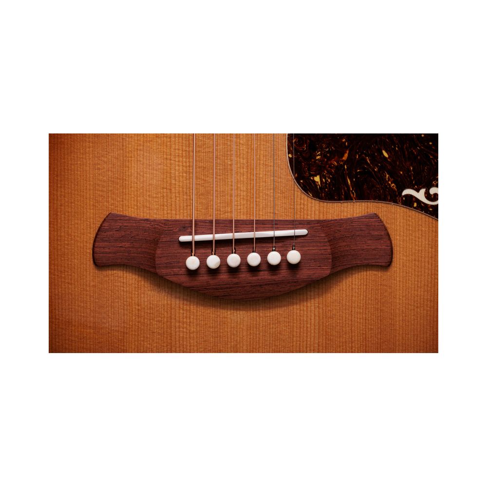 Taylor Gold Label 814e Koa Sunburst – Thomann Ireland