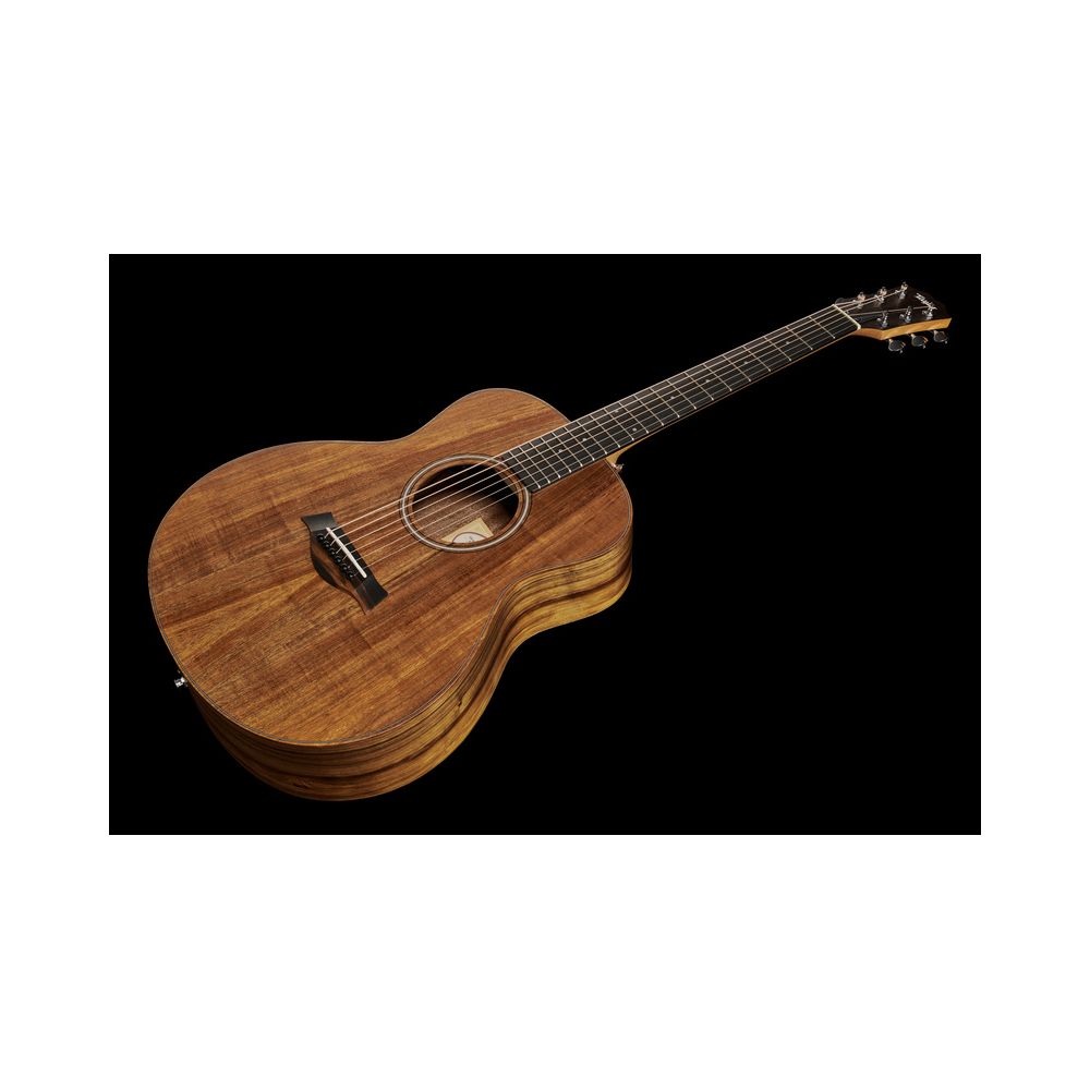 Taylor GS Mini