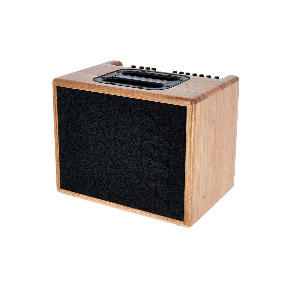 AER Compact 60 IV Oak Natural – Thomann Ireland