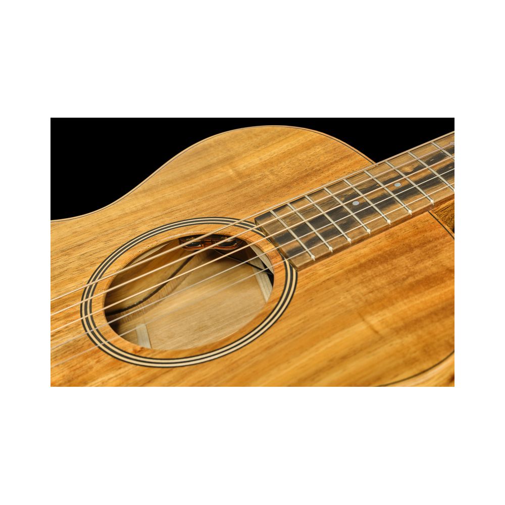 Taylor Jacob Collier Sign. JCSM