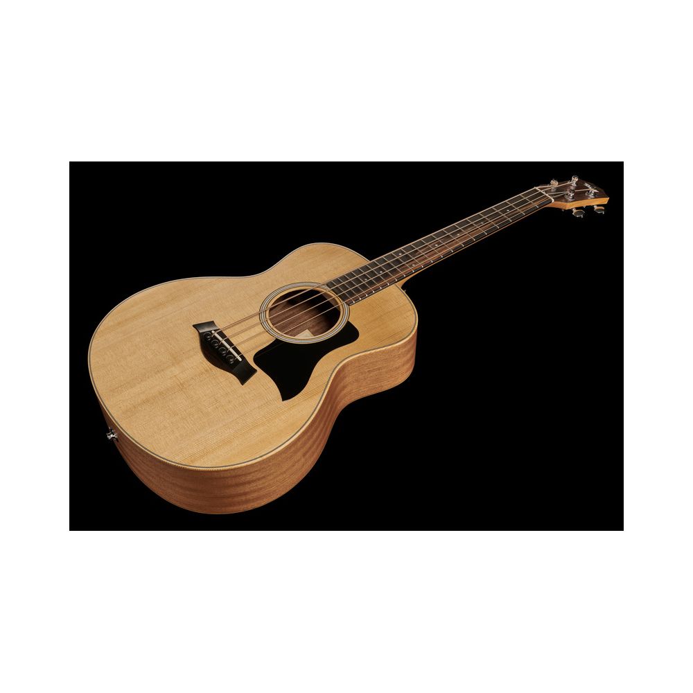 Taylor GS Mini