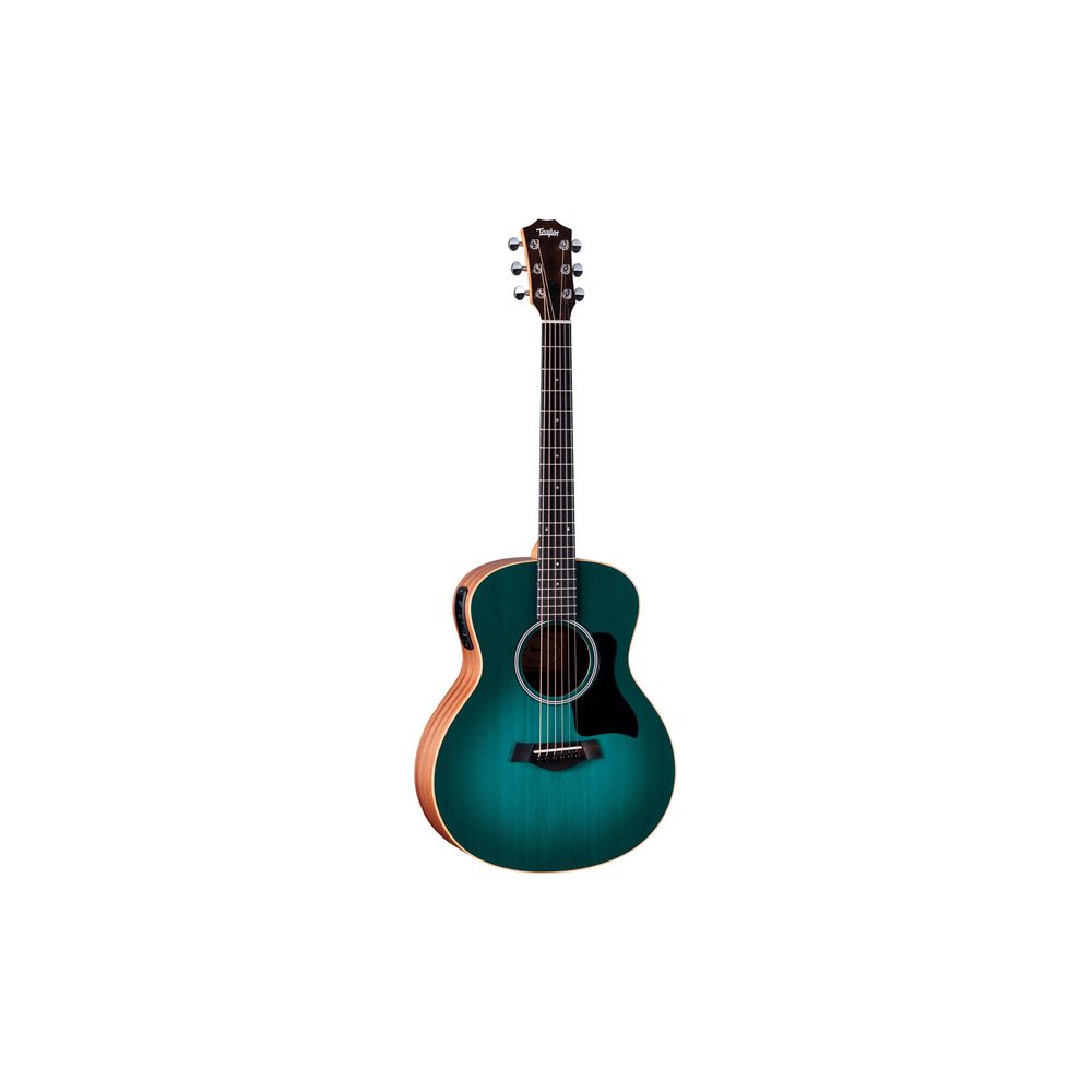 Taylor GS Mini