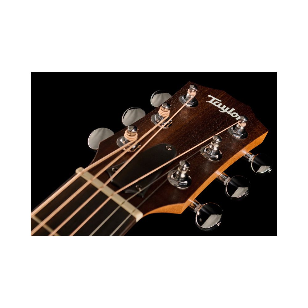 Taylor GS Mini